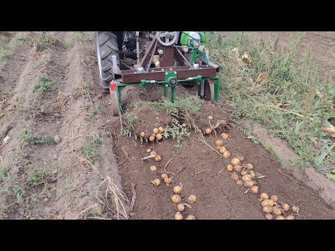 Видео: 2х рядна копалка. Просто, дешево і сердито... (ч. 2)