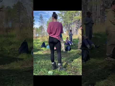 Видео: просто лес..