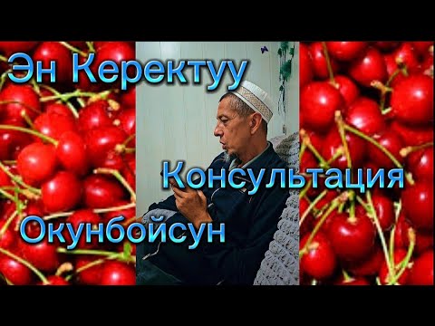 Видео: 🇰🇬Эн Керектуу Консультация Окунбойсун Кор. Бак Сыры:+996555887633