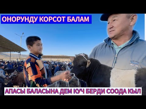 Видео: 28.08.2025ж АРАВАН МАЛ БАЗАР ЖАЙЛООДОН МАЛДАР КЕЛИП АРЗАНДАЙ ТУШТУ ЖАШ БАЛА СООДА КЫЛДЫ