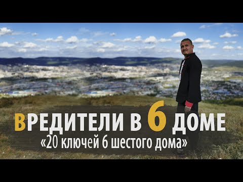 Видео: ВРЕДИТЕЛИ В 6 ШЕСТОМ ДОМЕ | Дмитрий Пономарев