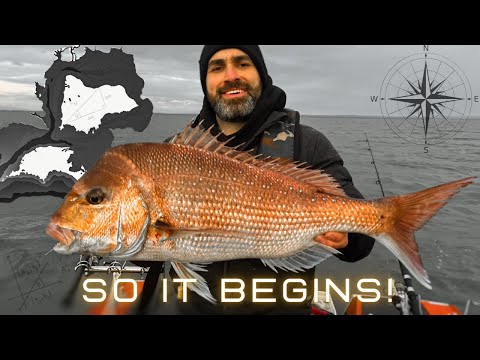 Видео: Сезон ловли снежков начинается! — The Tides of Change