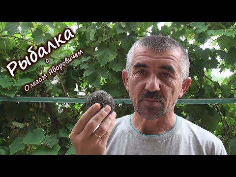 Видео: Приманка для рыбалки. Один из простых рецептов.