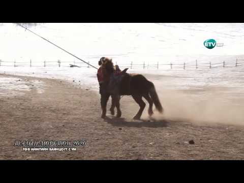 Видео: Талын морьтон 2020 Төв аймгийн Баянцогт сум