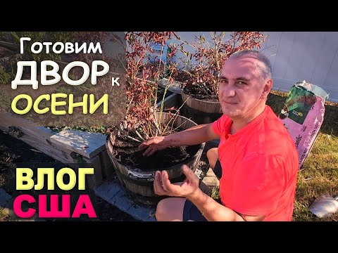 Видео: Взялись за двор, спасаем растения / Стареем...Готовимся к холодам, срочно за дело/ Огород в США Влог