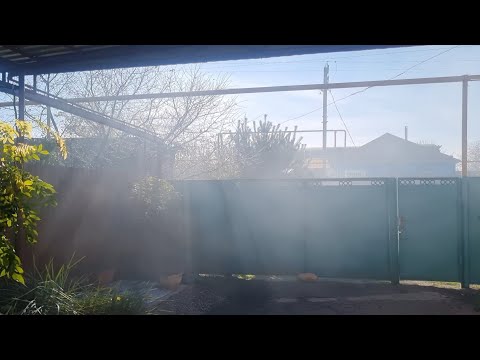 Видео: Видео сегодняшнего дня. СРЕДА! Завтракаем вместе!Прекрасного настроения!#Жду Колю#Заготовки с утра !