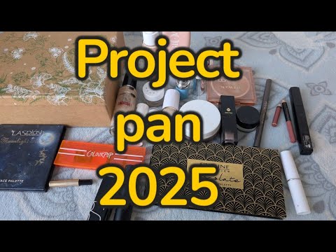 Видео: Project pan 2025 / Проджект пен на 2025 рік / 6 -й звіт 