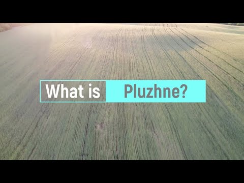 Видео: What is Pluzhne?|Плужне