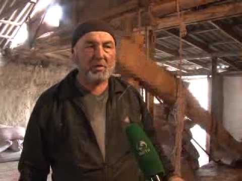 Видео: Атайын репортаж Озгон гуручу