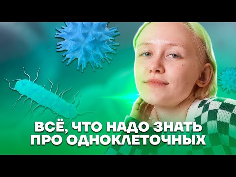 Видео: Все одноклеточные животные для ОГЭ | Биология ОГЭ 2023 | Умскул