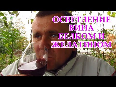 Видео: Как легко и быстро осветлить вино!!! Самый простой способ!