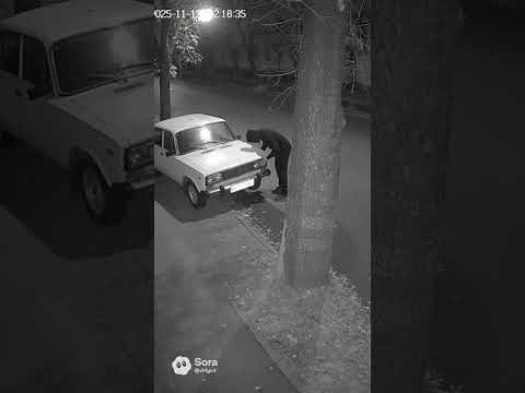 Видео: Силач