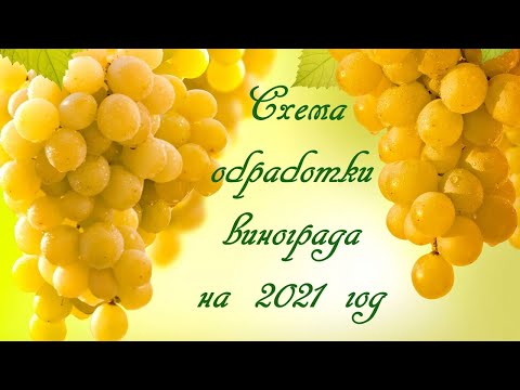 Видео: Схема обработки винограда на 2021 год