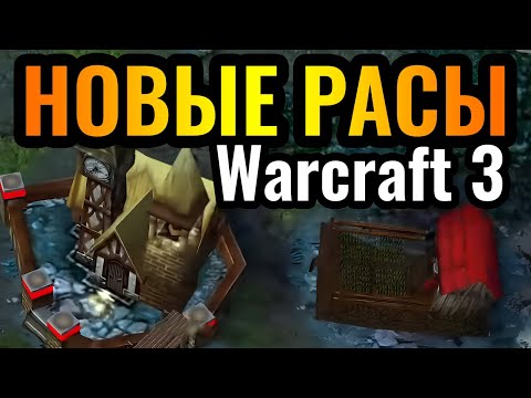 Видео: Warhammer в Warcraft: Бретония vs Лесные Эльфы в Warcraft 3 Reforged. Warhammer: Eternal Strife
