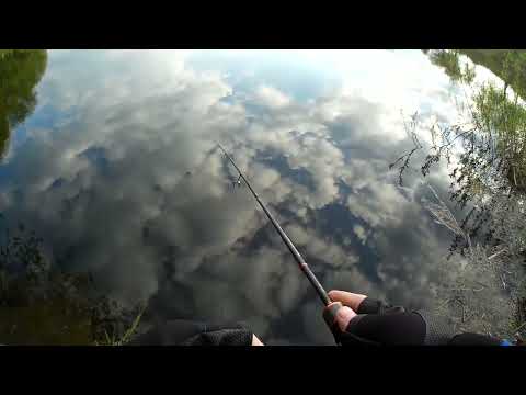 Видео: У.Клея)) #shorts #рыбалка #рек #тренды #втренде #топ #rybalkaestrybalka #врек #fishing