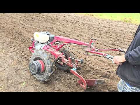 Видео: Мотоблок Белорус 09Н. Переделанный плуг. Осенняя пахота.