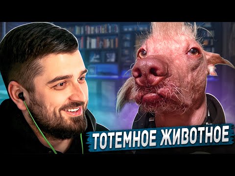 Видео: HARD PLAY РЕАКЦИЯ НА САМЫЕ СМЕШНЫЕ ВИДЕО ПРИКОЛЫ ЗА ВСЁ ВРЕМЯ! #8