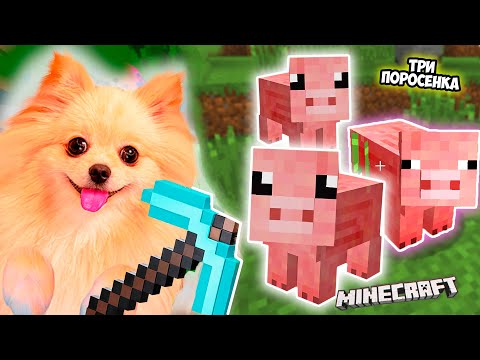 Видео: ТРИ ПОРОСЕНКА В МАЙНКРАФТ ! СТРОЮ БОЛЬШУЮ ФЕРМУ В MINECRAFT