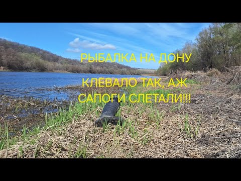 Видео: ДОН. ОТМЕЛЬ. ЗАВОДЬ. РЫБАЛКА В АПРЕЛЕ.