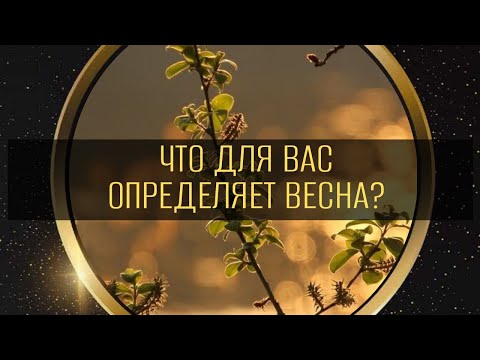 Видео: ЧТО ДЛЯ ВАС ОПРЕДЕЛЯЕТ ВЕСНА?