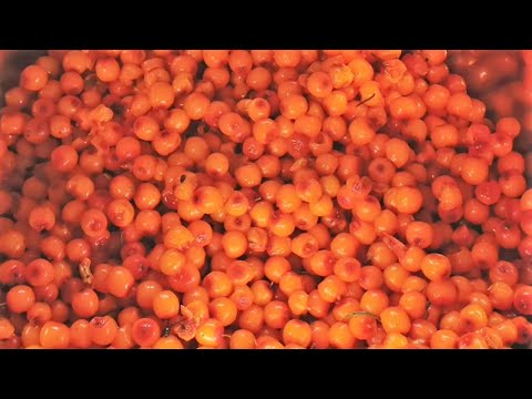 Видео: Джем из облепихи. Желе из облепихи на зиму.