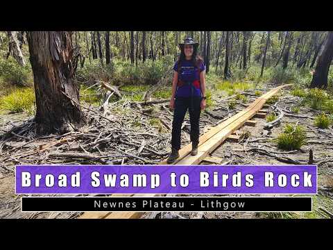 Видео: Грандиозный поход на плато Ньюнес | От Брод-Сомп до парковки Birds Rock (17,5 км) | Захватывающие...