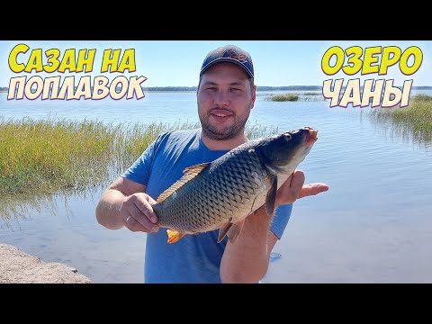 Видео: САЗАН НА ПОПЛАВОК В ОКТЯБРЕ  САЗАН НА КУКУРУЗУ  ЗАКРЫТИЕ СЕЗЕНА  ОЗЕРО ЧАНЫ
