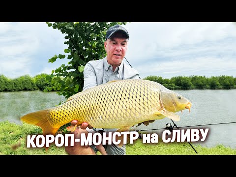 Видео: ЛОВЛЯ КОРОПА на ПРОСТІ СНАСТІ