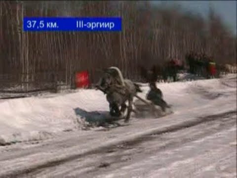 Видео: Ат сүүрдүүтэ Дэбдиргэ Таатта улууһа 2007