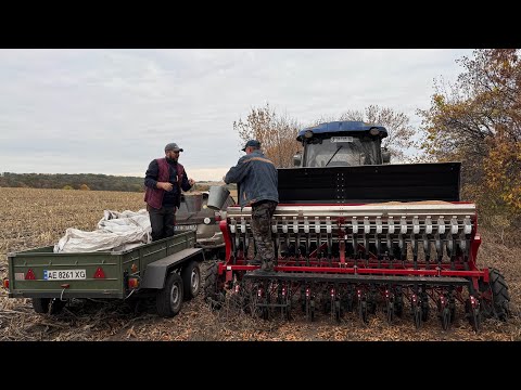 Видео: Осіння посівна по сухому - ризик чи необхідність
