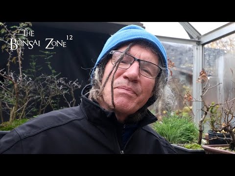 Видео: Я готов к снегу, Зона бонсай, ноябрь 2025 г.