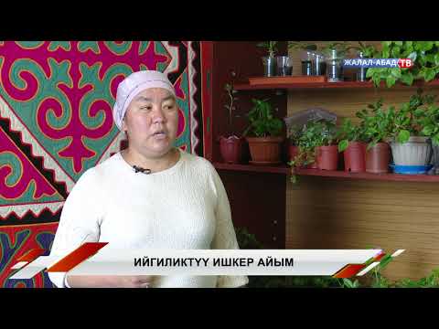 Видео: Ийгиликтүү ишкер айым
