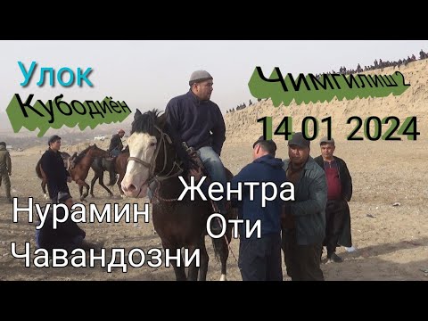 Видео: Улок Кубодиён Чимгилиш2 14 01 2024 зур улок булди тез томоша киламиз жуда катта улок