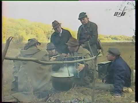 Видео: Песня№352 Играй,гармонь!