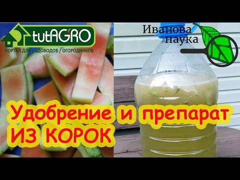 Видео: НЕ ВЫБРАСЫВАЙТЕ КОРКИ! ОБЕЗЗАРАЖИВАНИЕ ЛЮБОЙ ПОЧВЫ арбузными и дынными корками. Ферментация корок.