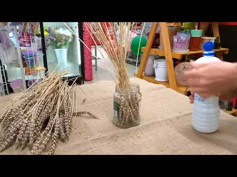 Видео: Отбеливание пшеницы. До и после