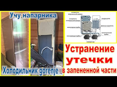 Видео: 🟡Двух компрессорный холодильник gorenje  🔧 Устранение утечки в запененной части 🎓Учу напарника 🎓