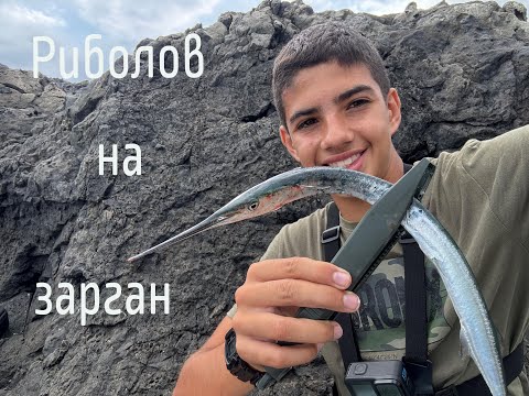 Видео: Риболов на зарган