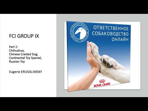 Видео: «Особенности судейства десяти групп пород FCI Группа IX ч. 2» | «Ответственное собаководство онлайн»