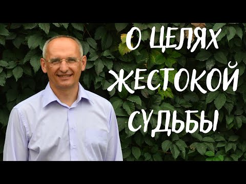 Видео: О целях ЖЕСТОКОЙ судьбы. Торсунов лекции