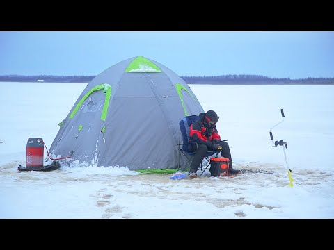 Видео: Зимняя рыбалка в палатке!  КУЧА наваги в Архангельской области! Первый лед 2020!