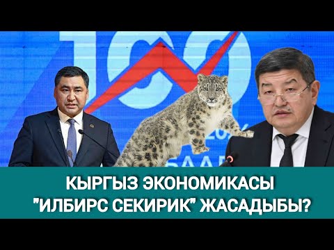 Видео: КЫРГЫЗСТАНДЫН ЭКОНОМИКАСЫ " ИЛБИРС СЕКИРИК" ЖАСАДЫБЫ?