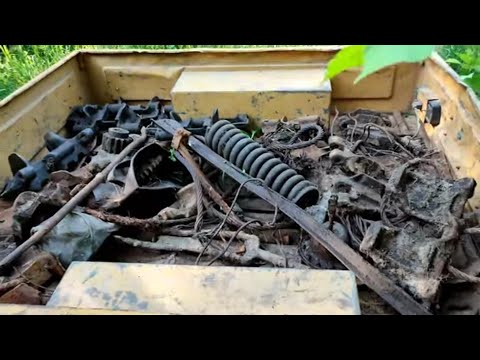 Видео: Обалденные находки в старой лесной делянки!!!