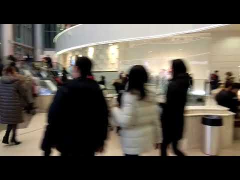 Видео: Эвакуация посетителей в ТЦ "Галерея Новосибирск"
