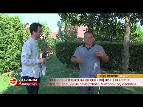 Видео: Дворот на Трајчо Митров од Иловица е вистински рај