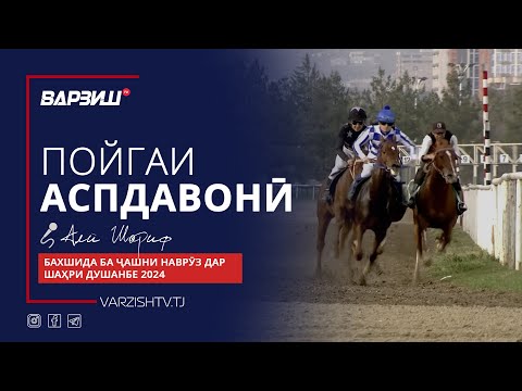 Видео: Аспдавонӣ. Бахшида ба ҷашни Наврӯз дар шаҳри Душанбе