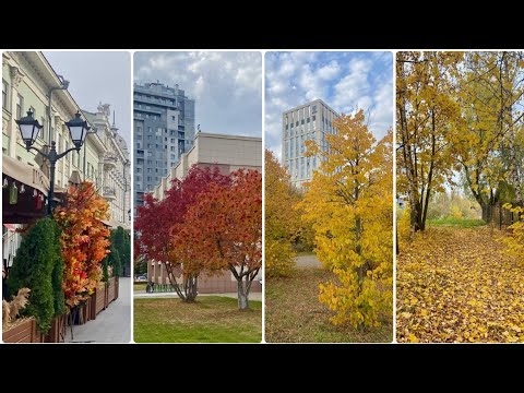 Видео: Осенняя Казань🍁10 октября 2025 г. Парки, скверы и центр города.