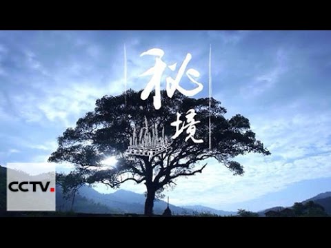 Видео: Китай на кончике языка II-06