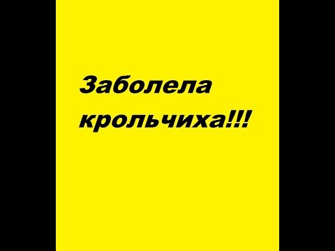 Видео: Заболела крольчиха. Помогите пожалуйста советом!!!