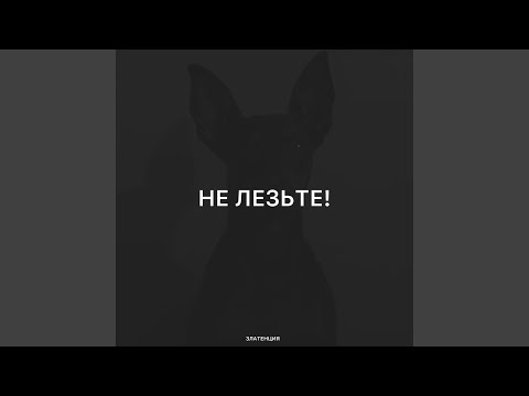 Видео: Не лезьте!